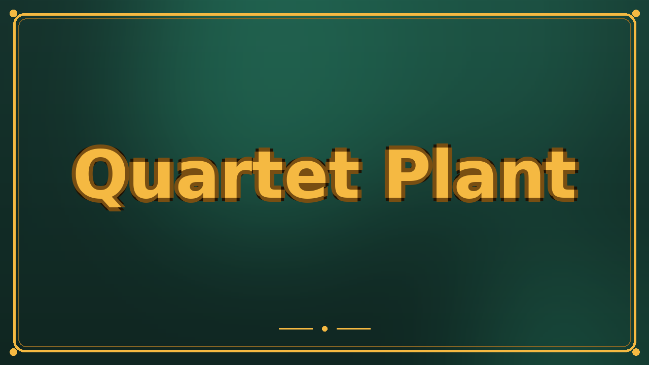 Quartet Plant